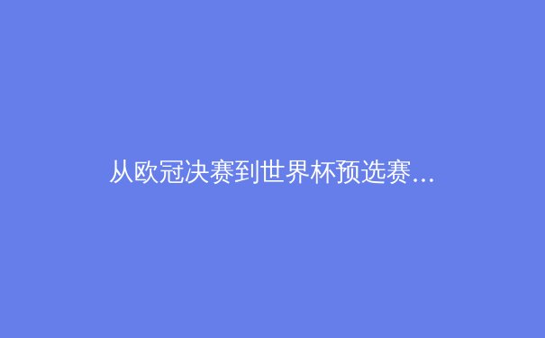 从欧冠决赛到世界杯预选赛：深度解析现代足球战术演变与体能极限挑战 - 4